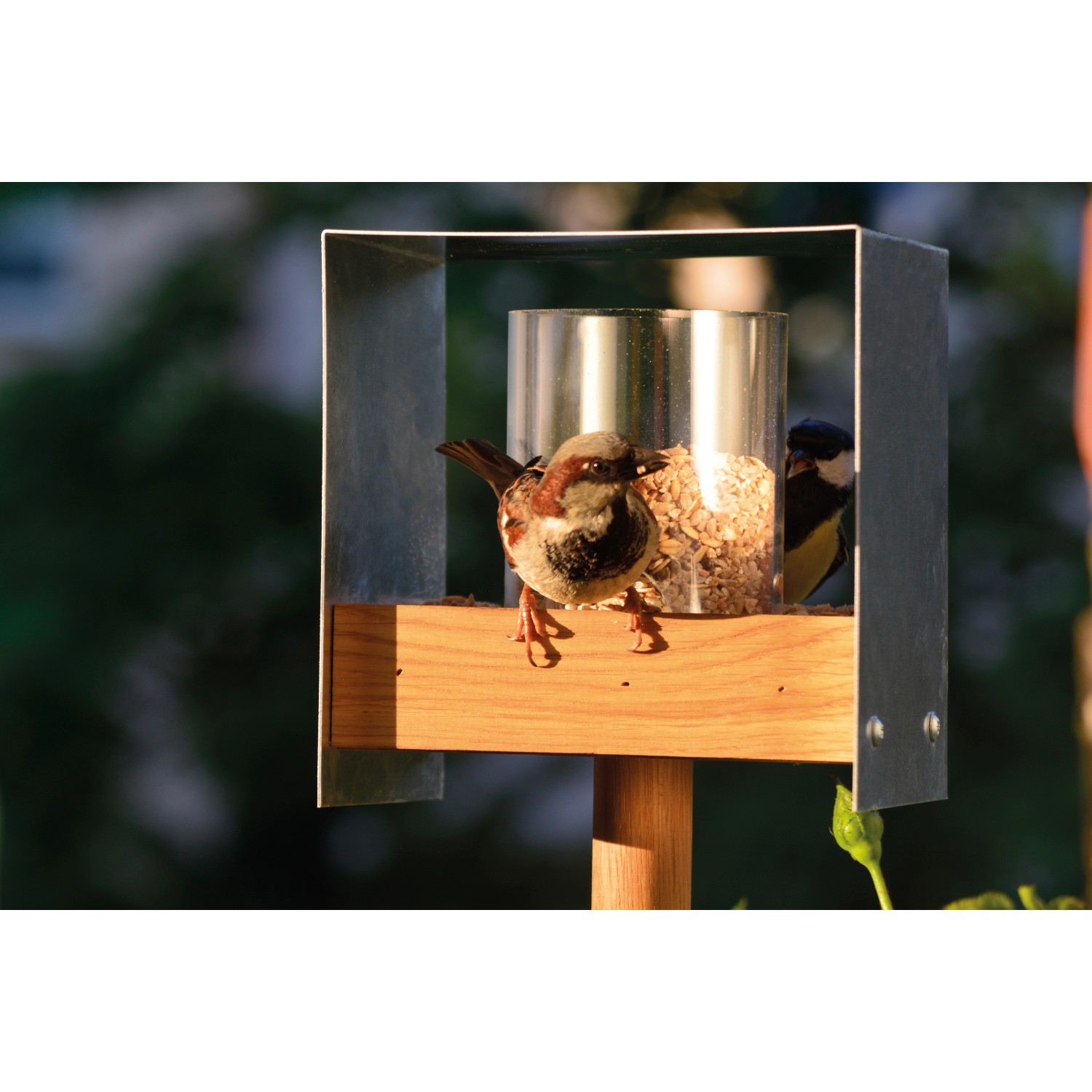 Dobar Design Vogelhaus im Bauhausstil mit Ständer und zwei Vögeln beim Fressen.