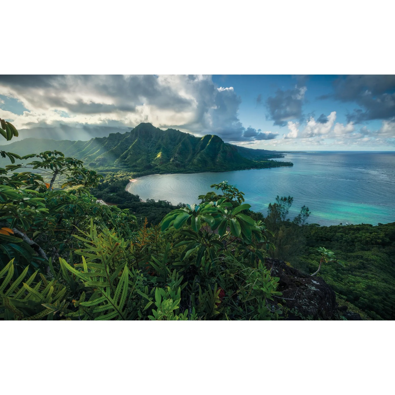 Vlies Fototapete Jurassic Island