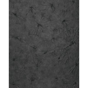 Anthrazitfarbenes Wandpaneel mit Naturdekor, seidenmatte Oberfläche. WALLFACE 24963 LOTUS CLASSY.