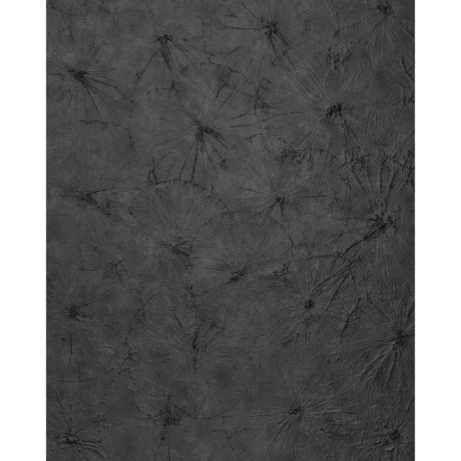 WALLFACE 24963 LOTUS CLASSY Black Wandverkleidung mit Natur Dekor Seidenmat günstig online kaufen