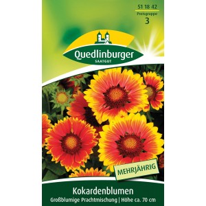 Quedlinburger Kokardenblume, großblumige Prachtmischung für Beet und Rabatte.