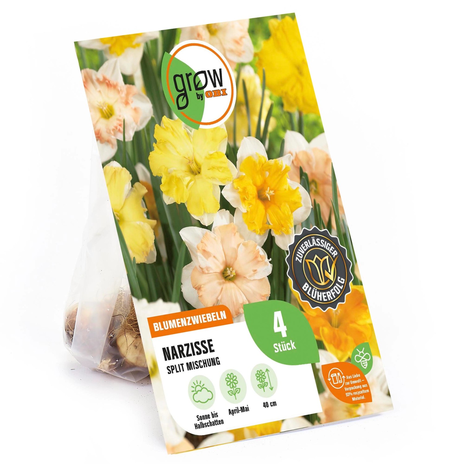 GROW by OBI Narzissen Split Mischung 4 Stück Narcissus split corona Mixed günstig online kaufen