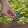 Gardena 6 in 1 Sprühdüse im Micro-Drip-System wird an Verlegerohr angebracht.
