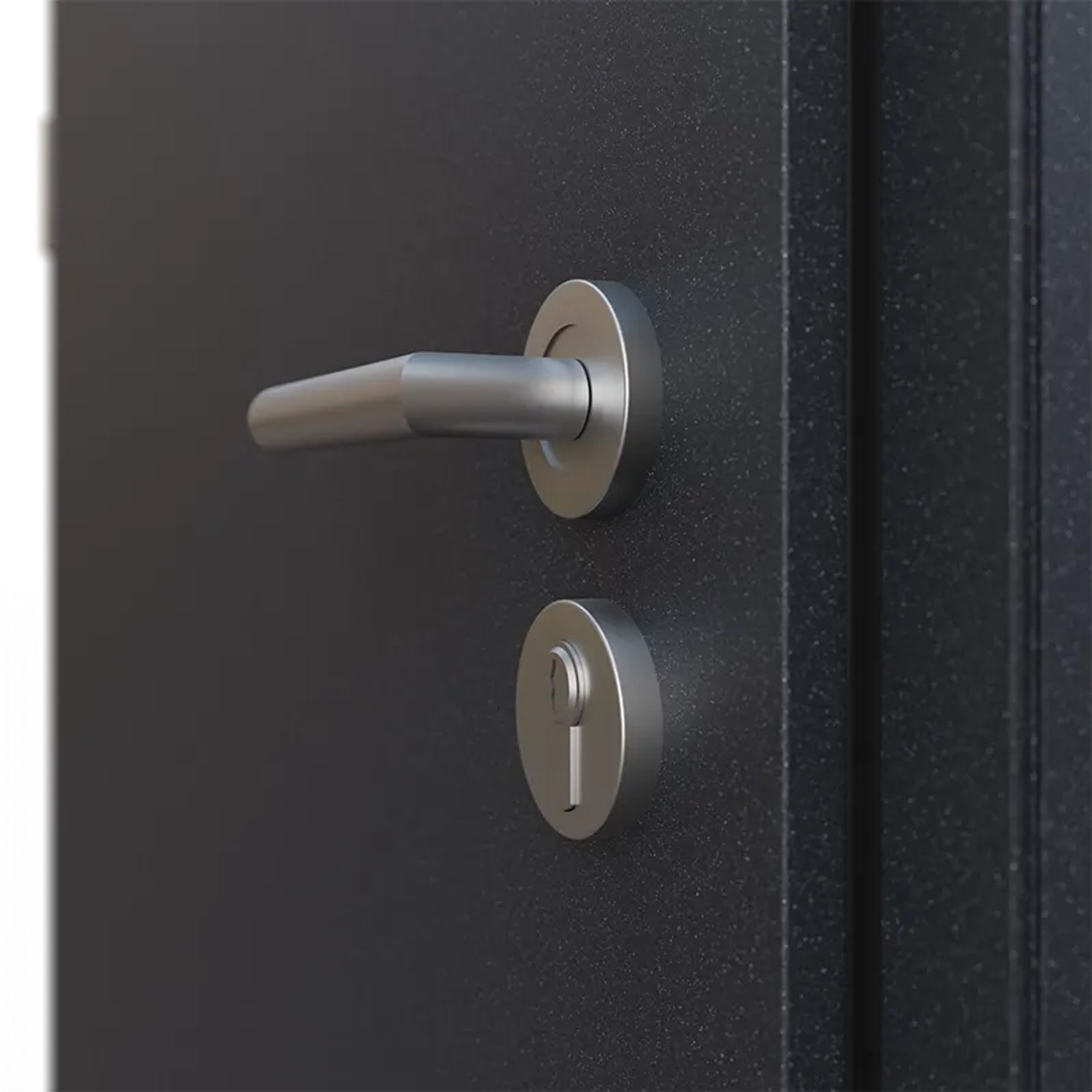 Detailansicht einer anthrazitfarbenen FM Tür AS68 mit Beschlägen: Griff, Schlossrosette. Haustür.