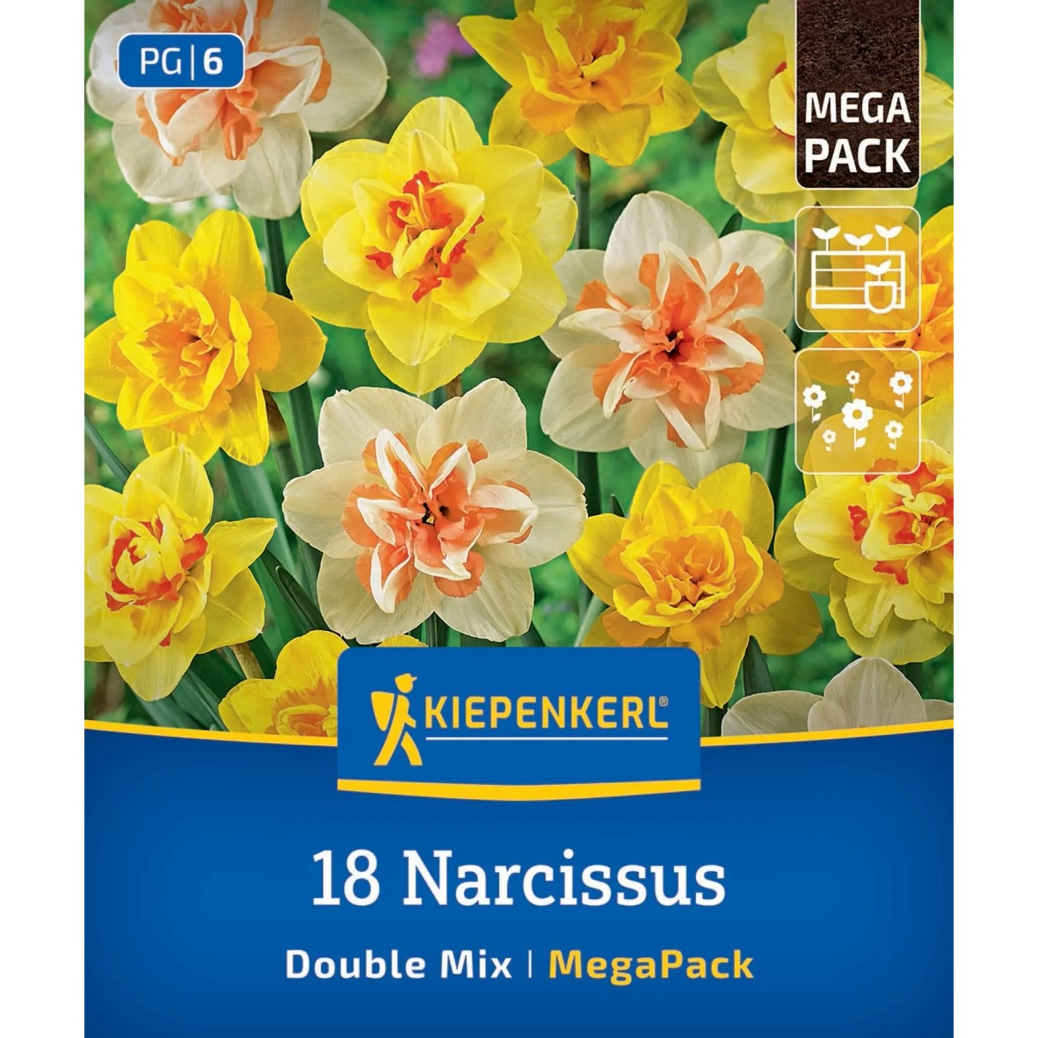 Kiepenkerl Blumenzwiebel Mega-Pack Narzissen Gefüllte Mischung 18 Stück