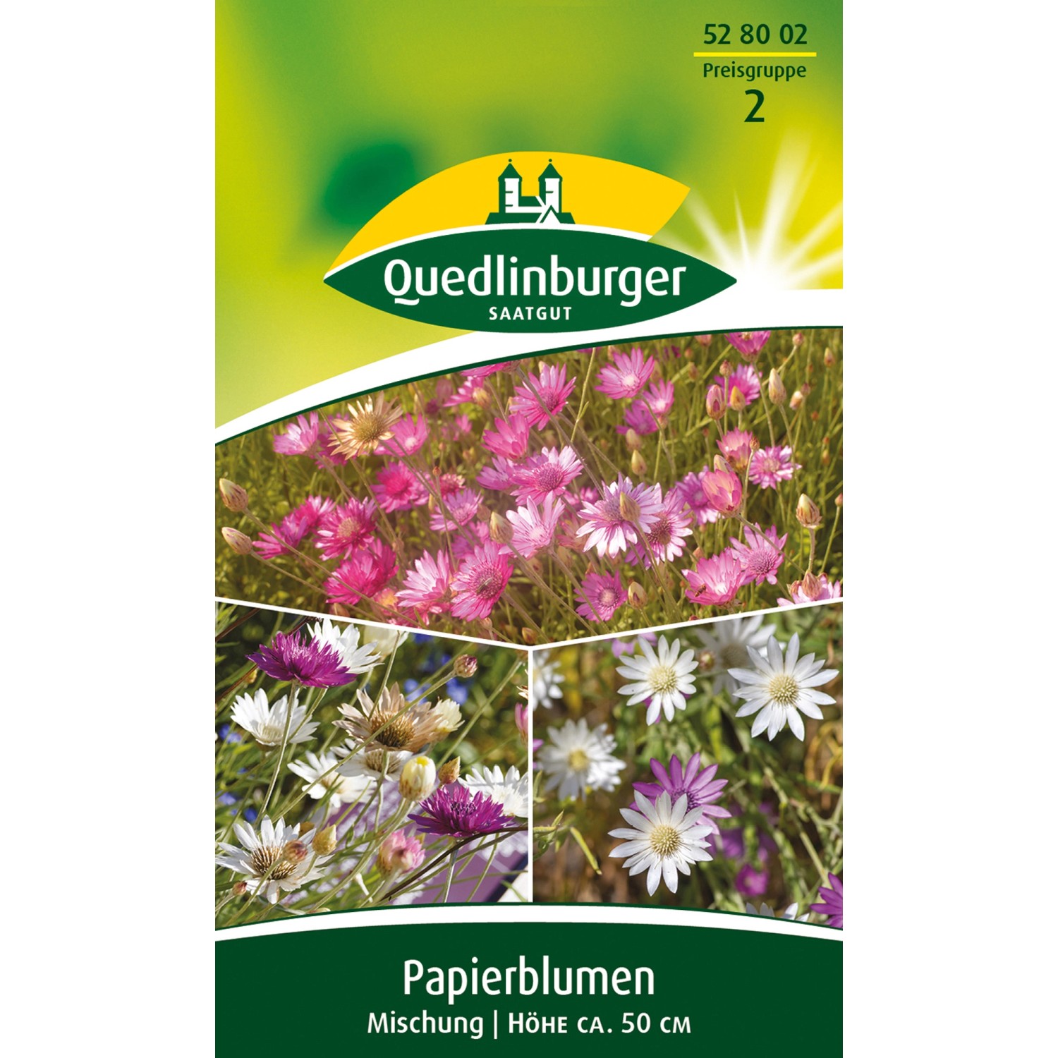 Quedlinburger Papierblume ''Mischung'' günstig online kaufen