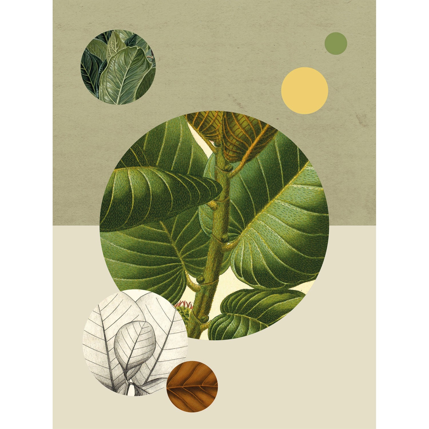 Komar Wandbild Green Structure 30 x 40 cm