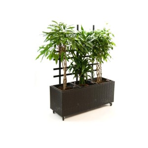 Schwarzer Polyrattan Pflanzkübel mit Rankgitter, rechteckig, 106x38x130cm, mit Pflanzen.