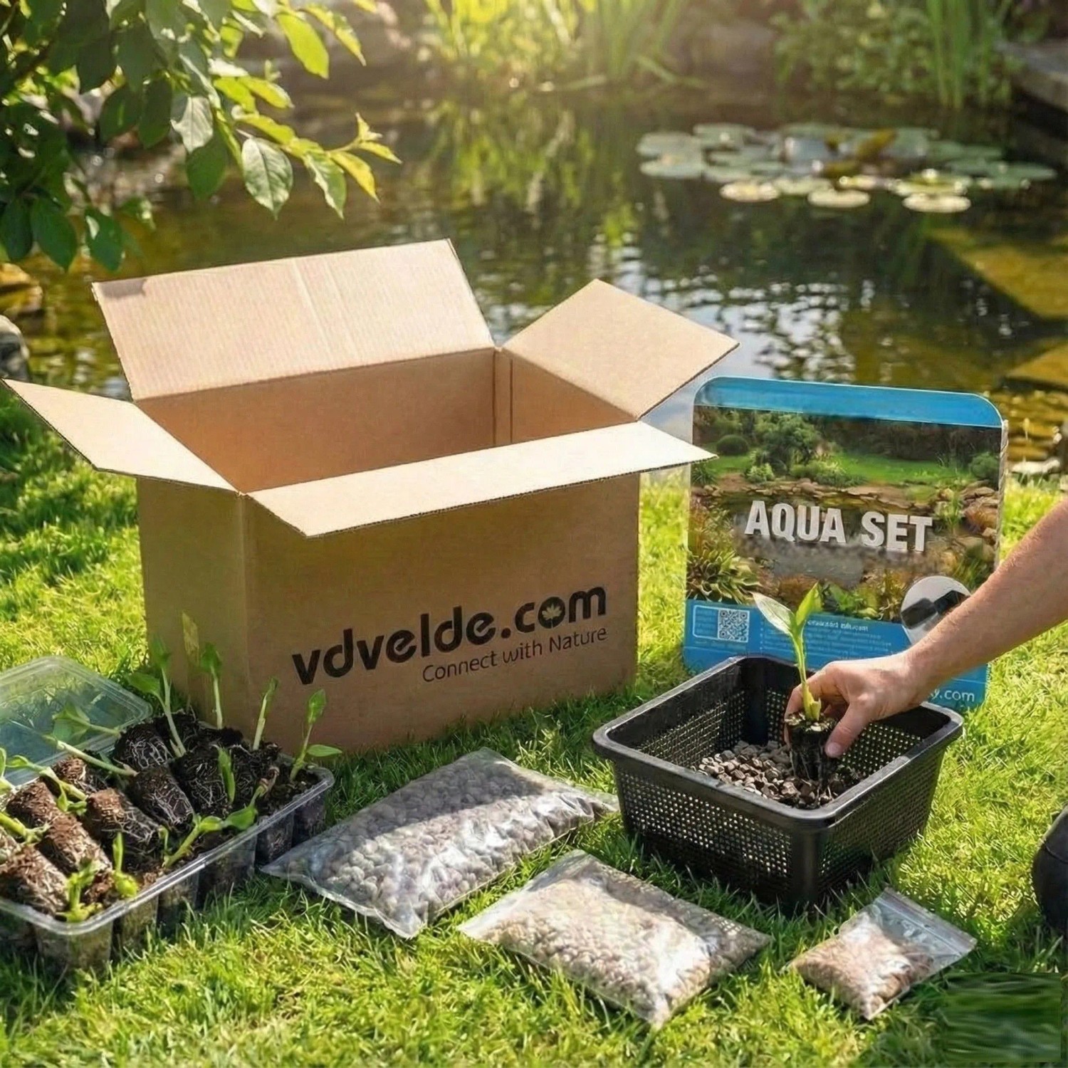 Vdvelde Teichkorb   5 Stück 19x19x10 Cm   Quadratische Körbe Für Wasserpflanze_4