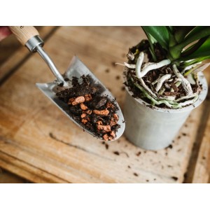 Schaufel mit Westland Orchideenerde torffrei neben Orchidee im Topf.