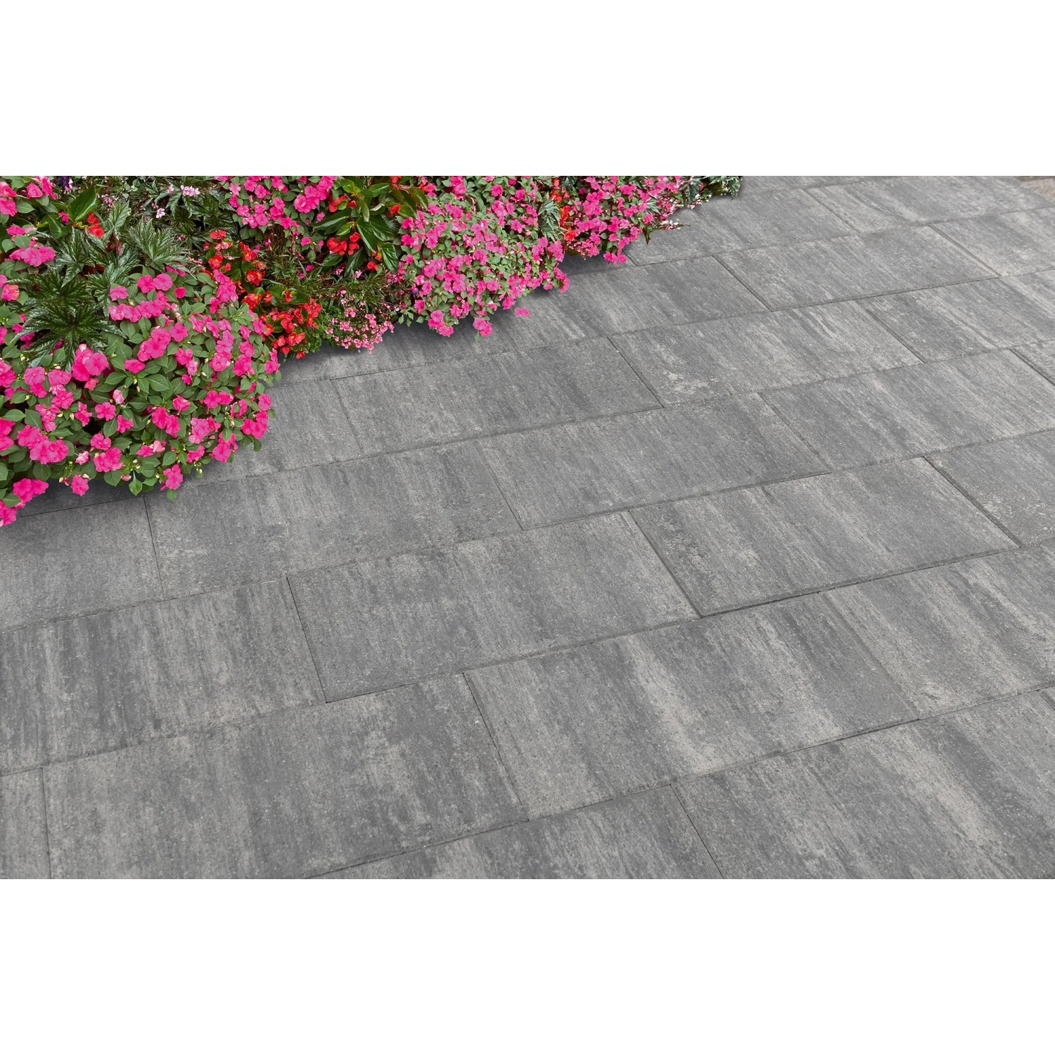 Diephaus Terrassenplatte Corso Graphit, 50x25 cm, verlegt als Gartenweg mit Blumenbeet.