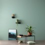 Wand in Agavengrün von Schöner Wohnen Designfarben, matte Premium-Wandfarbe für Innenräume.
