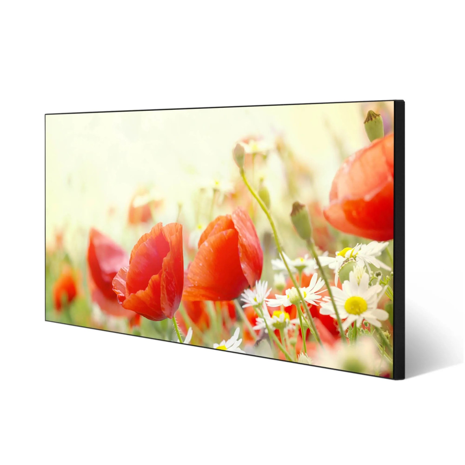 Magnettafel 78x37cm mit Kamille- und Mohn-Motiv. Schwarze Magnetwand für Notizen und Deko.