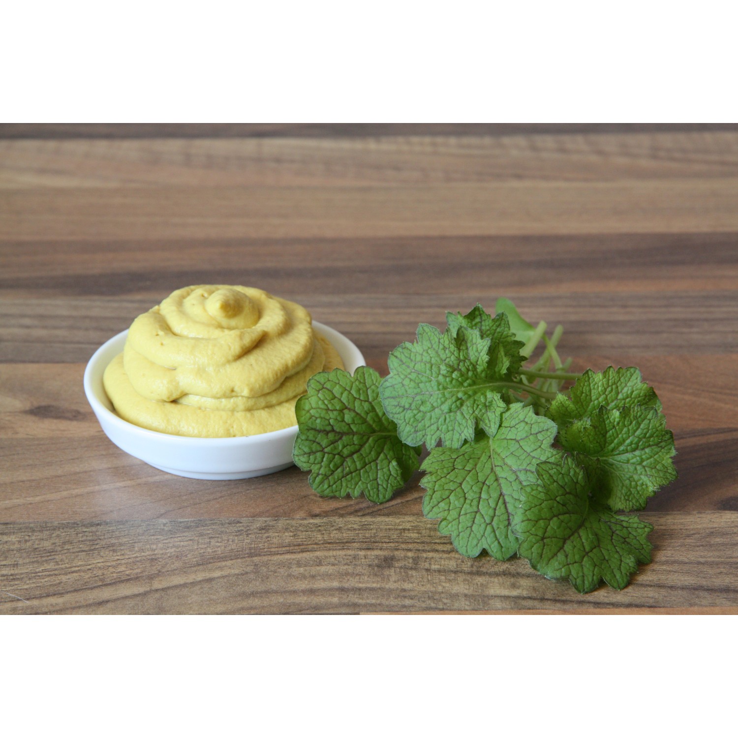 Blu Bio-Blattsenf im Topf (Ø 12cm) mit Senf in Schale. Brassica, scharfer Salat.