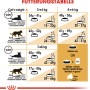 Fütterungstabelle für Royal Canin British Shorthair Katzenfutter, Dosierungsempfehlung nach Gewicht und Aktivität.