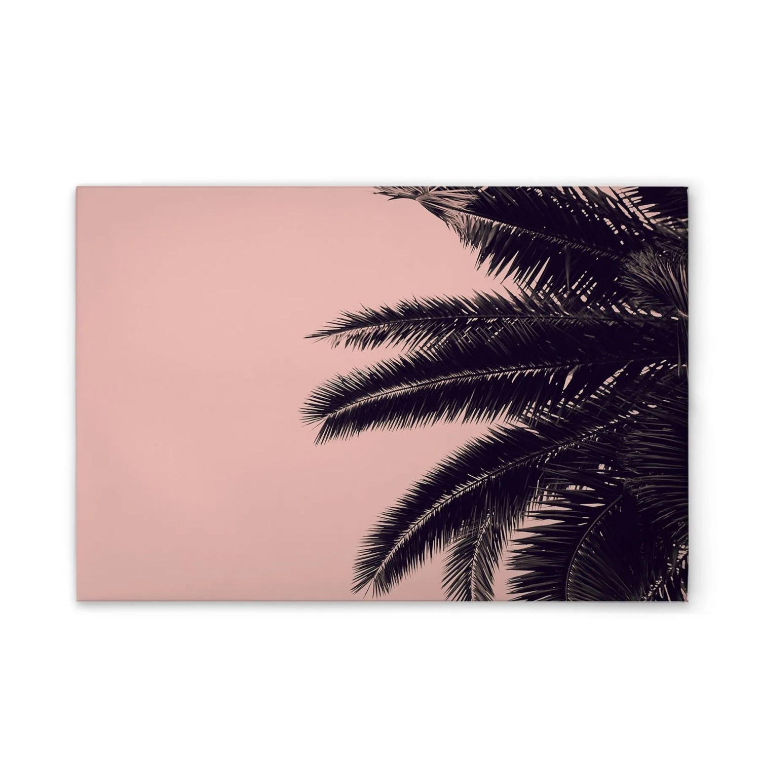 Tadessi Leinwandbild - M1-No.51167 - Palmenblätter Rosa - 60 x 40 cm - Querformat