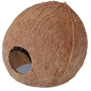 Kokoshöhle 3/4 als Tierversteck/Laichhöhle für Insekten oder Spinnen im Terrarium.