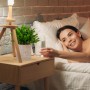 Dekorative Kunstpflanze im Topf auf Nachttisch neben Frau im Bett.