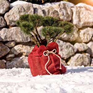 Windhager Jutezopf, 200cm, Natur, für Hochbeete und Dekoration im Garten.