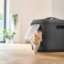 Anthrazitfarbene Rotho Katzentoilette Biala XL mit Katze, ideal für große Katzen oder Mehrkatzenhaushalte.