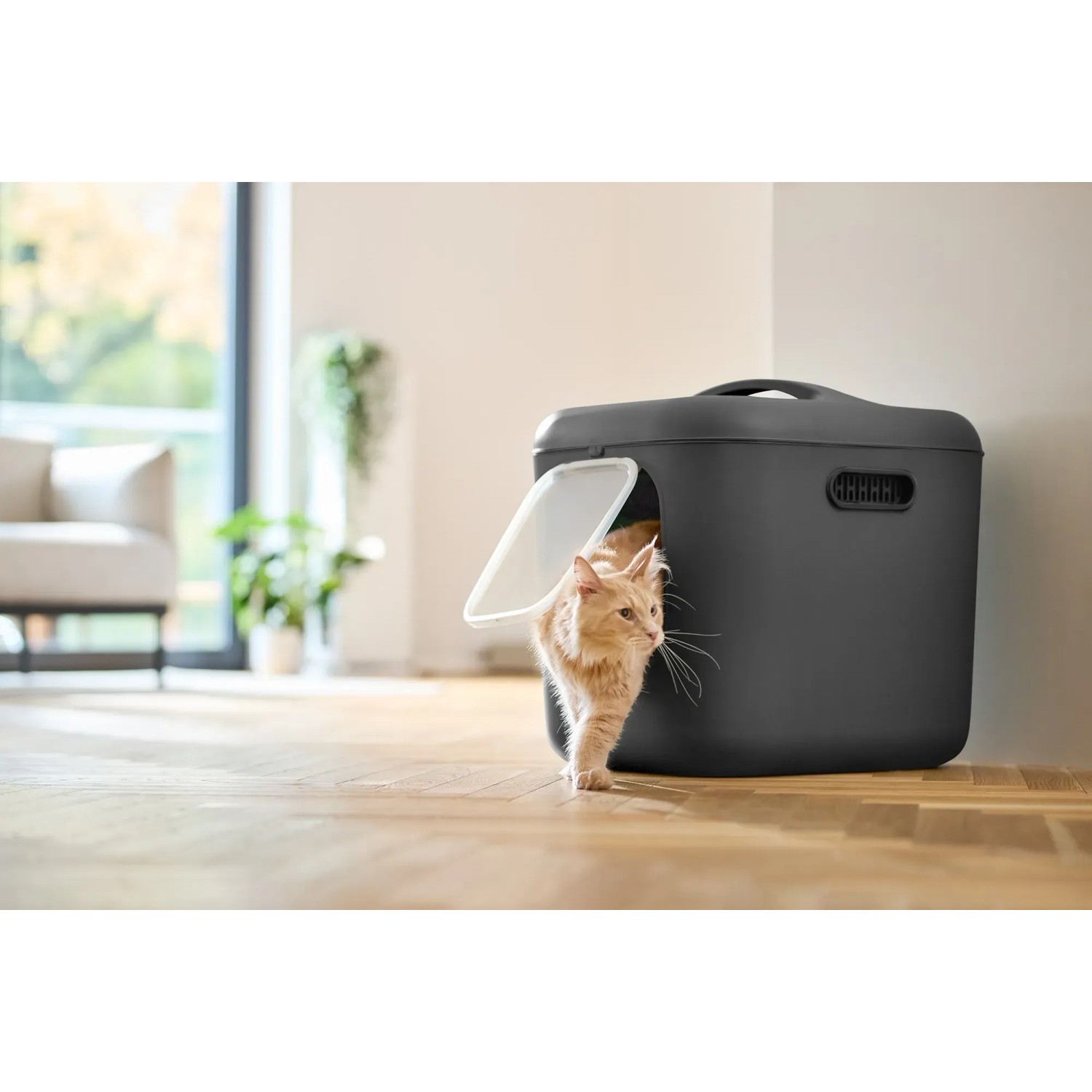 Anthrazitfarbene Rotho Katzentoilette Biala XL mit Katze, ideal für große Katzen oder Mehrkatzenhaushalte.