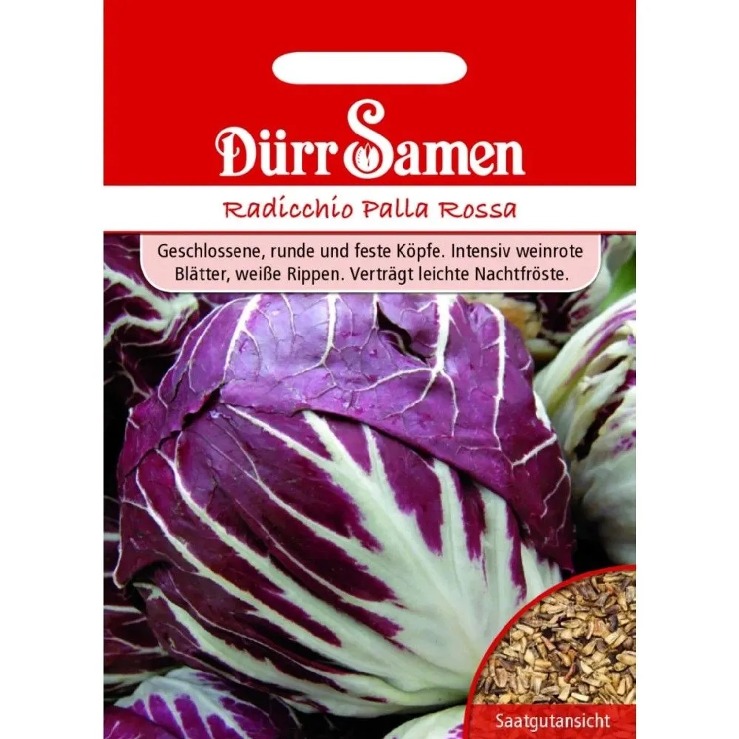 Dürr Samen Radicchio Palla Rossa Saatgut