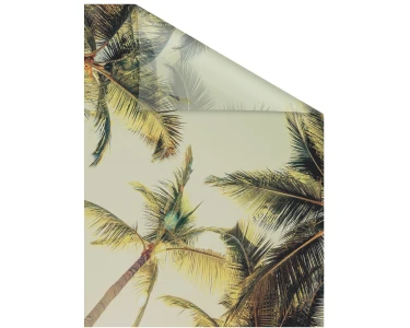 selbstklebend Fensterfolie Sichtschutz Palmen kaufen Grün OBI und bei mit Sonne Lichtblick