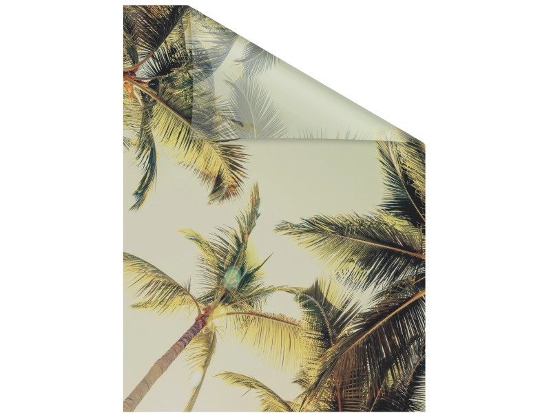 Fensterfolie und mit selbstklebend Lichtblick bei kaufen Palmen Sonne Grün Sichtschutz OBI