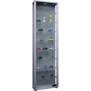 Ebuy24 Edana Maxi Vitrine, silberfarbig, mit Glastür, LED-Licht und 8 Glasböden.