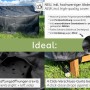 Gartenbank mit Abdeckung von needs&wants, 2-Sitzer Truhenbank aus dunklem Holz, wetterfest.