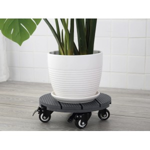 Pflanzenroller kaufen bei OBI