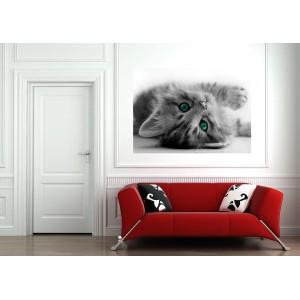 Sanders & Sanders Fototapete Katze Grau, 160x110 cm. Wandposter mit Katzenmotiv im Wohnzimmer.