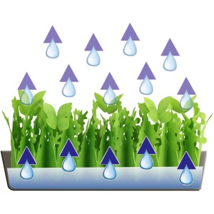 Wenko Luftbefeuchter Flora mit Pflanzen-Design und Wassertropfen zur Verbesserung des Raumklimas.