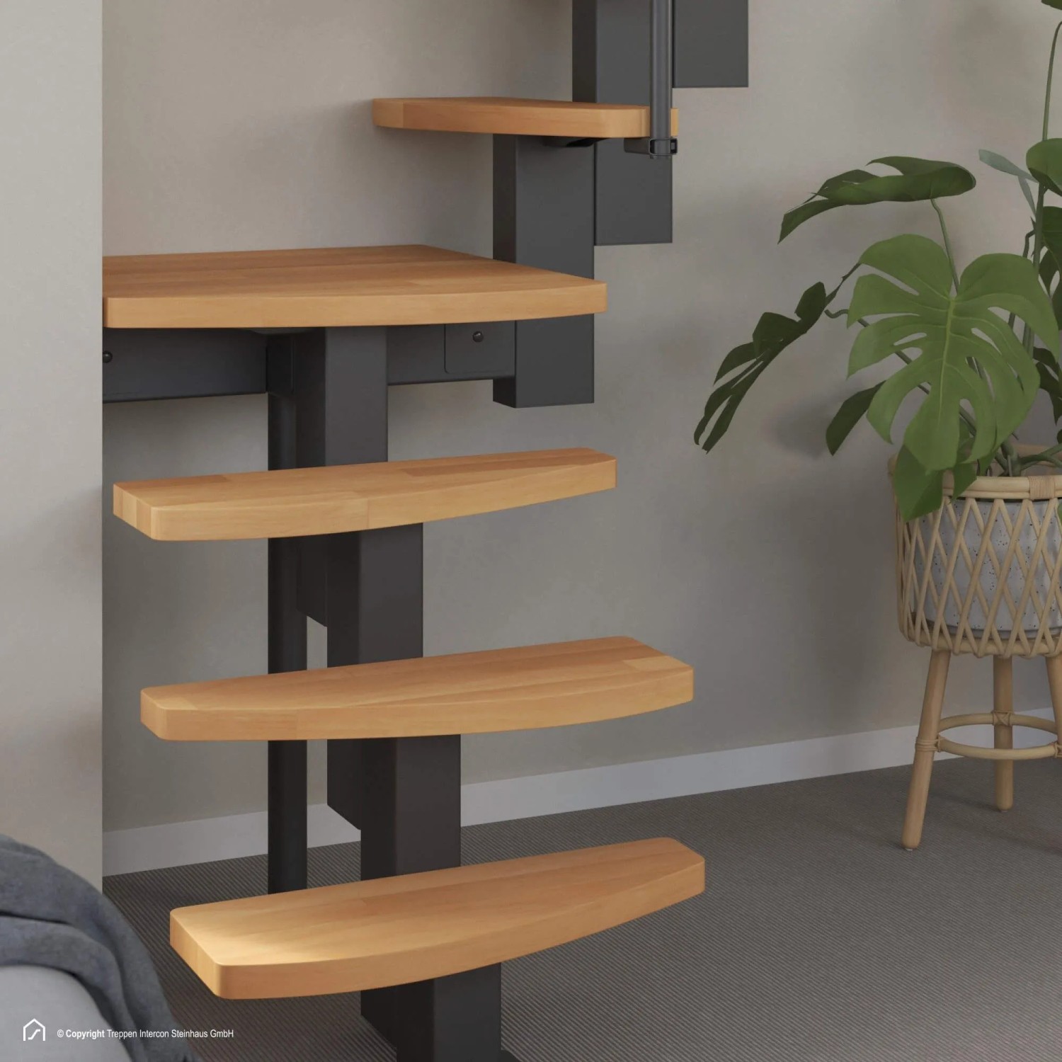 Intercon Raumspartreppe Quadro, Buche natur, Brillant-Schwarz. Mittelholmtreppe mit Holzstufen.