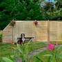 Grüner T & J Lamellenzaun 180x180 cm im Garten mit Hund und Blumen.