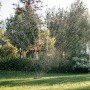 Fiskars Comfort S-L oszillierender Regner bewässert Rasenfläche im Garten.