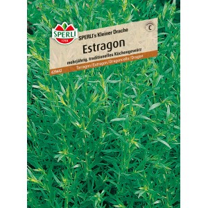 Sperli Estragon 'Kleiner Drache': Mehrjährige Kräutersamen für Garten und Küche.