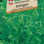 Sperli Estragon 'Kleiner Drache': Mehrjährige Kräutersamen für Garten und Küche.