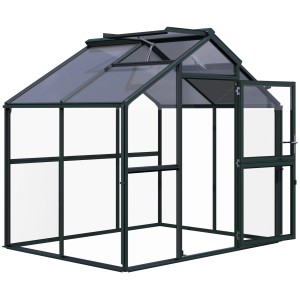 KGT Gewächshaus Novum II, tannengrün, mit geöffneter Tür und Dachfenster. Ideal für Pflanzenzucht.