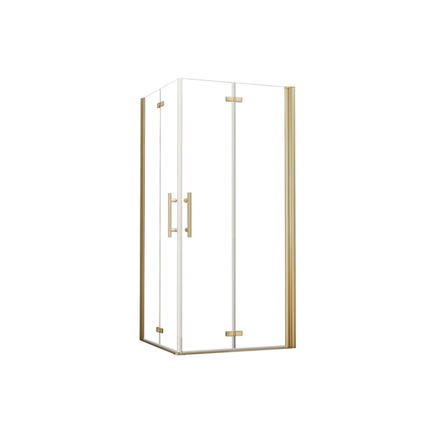 Duschparadies Duschkabine 100x80cm Duschabtrennung Duschtür Höhe 195cm Falt günstig online kaufen