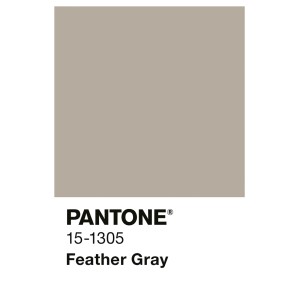 Farbmuster der Alpina Innenfarbe Pantone Feather Gray 15-1305 in Graubeige für Wände.