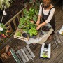 Frau pflanzt mit Lechuza Terrapon Kübelpflanzenerde auf einer Holzterrasse Pflanzen in Töpfe.