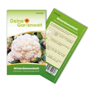 Samentüte Winterblumenkohl Walcheren, winterharte Sorte für den Garten.