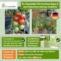TTL GARDEN Rankstäbe 90cm 20er Set 11mm Kunststoffbeschichtet Pflanzstäbe Rankhilfe Tomatenstab Für Garten Gewächshaus_8