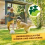 Junge spielt mit Hund im Garten, Symbol für Unbedenklichkeit des Solabiol Rhododendron- & Hortensiendüngers.