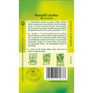 Samenpackung Mangold 'Lucullus' von Quedlinburger, Gemüsesamen für den Garten.