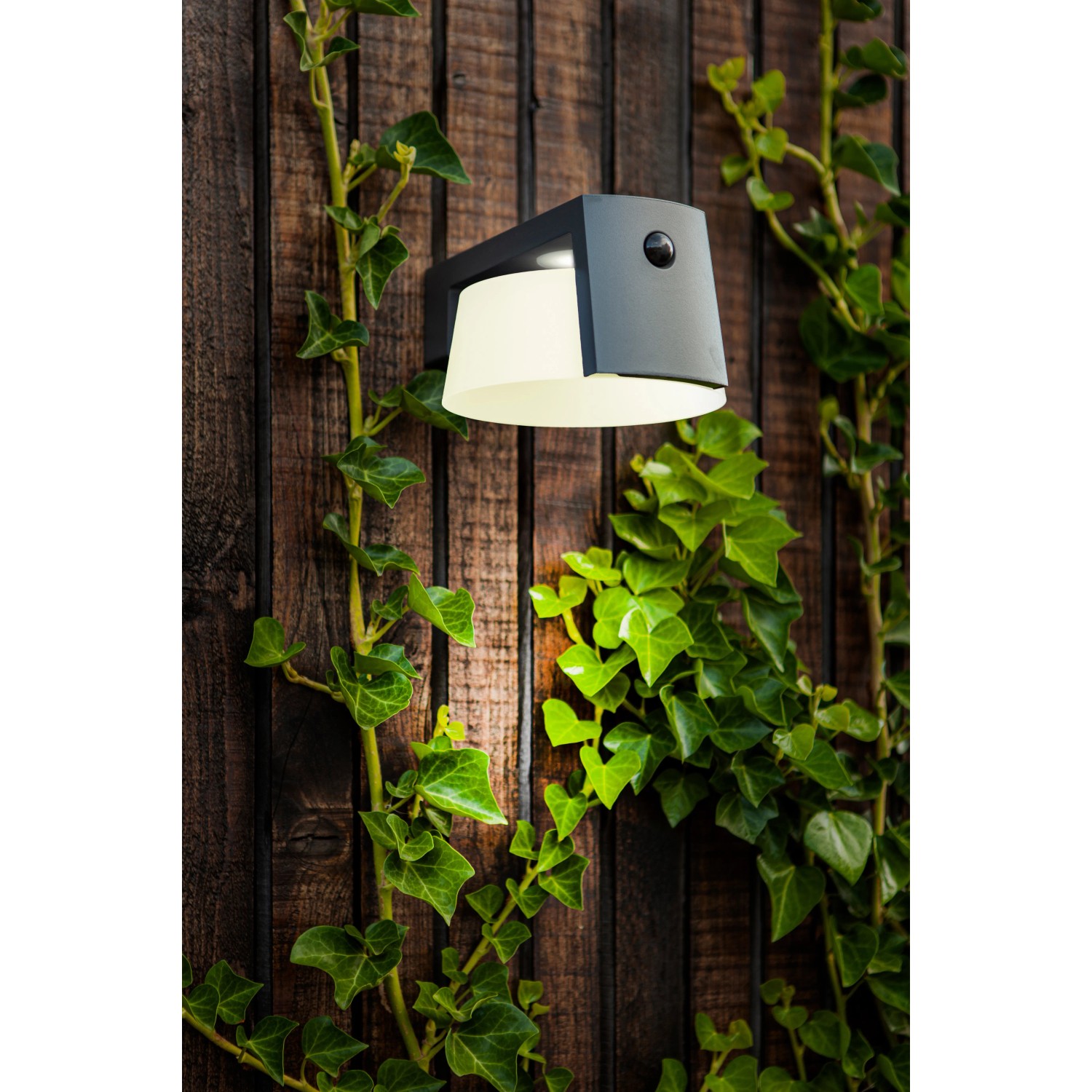 Cadre photo - Bois naturel - Découpes feuillage - Personnalisable - 23,6 x 18,6 cm - Achat en ligne