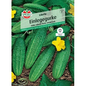 Sperli Saatgut Einlegegurke Libelle, F1