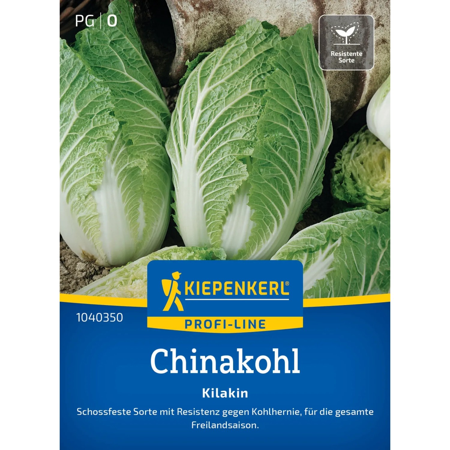 Kiepenkerl Chinakohl Kilakin