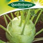Samenpackung Quedlinburger Kohlrabi 'Superschmelz' mit hellgrüner Knolle.